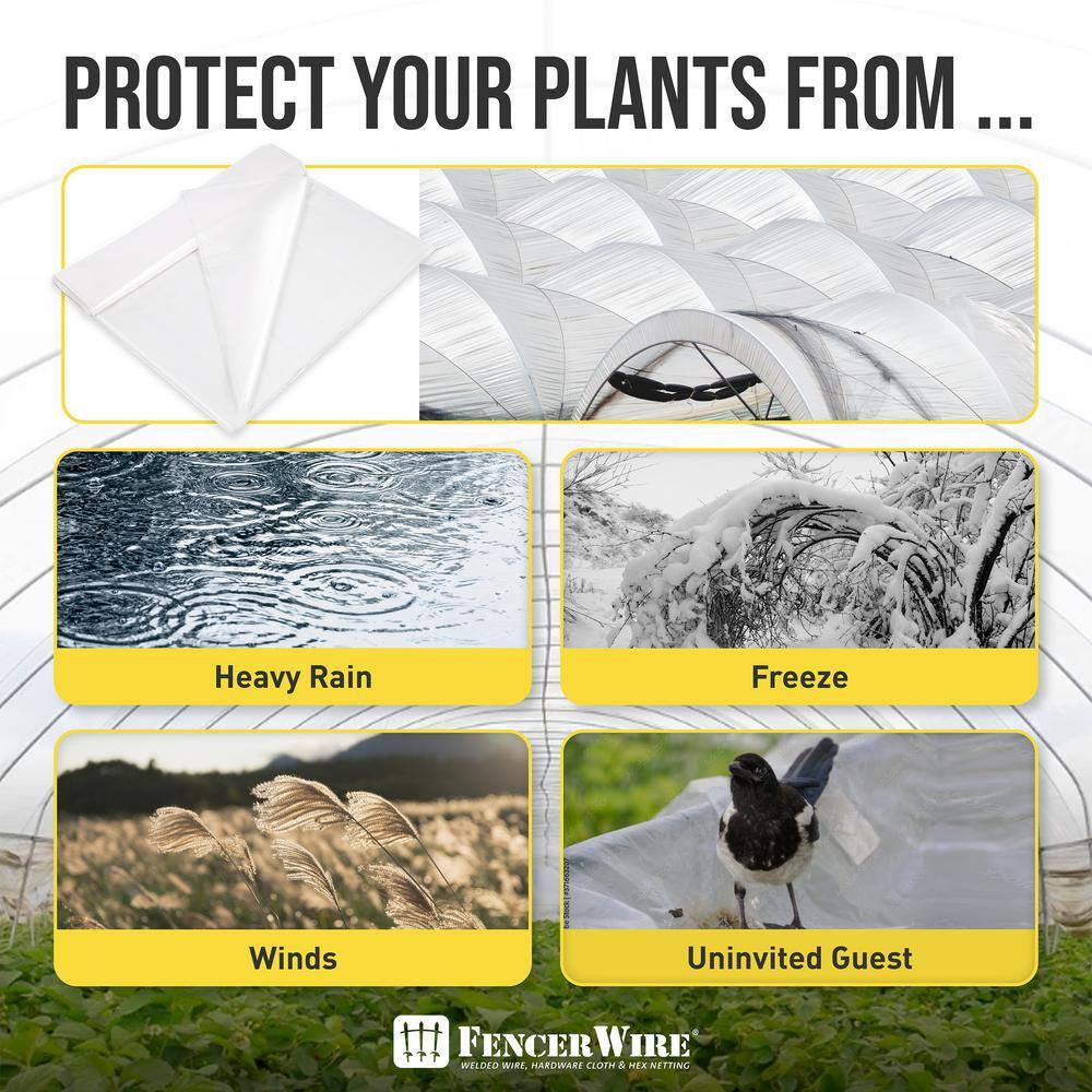 32 Ft. X 50 Ft. 6 Mil Clear Greenhouse Plastic Sheeting, UV Resistant Polyethylene Greenhouse Film, Hoop House Cover