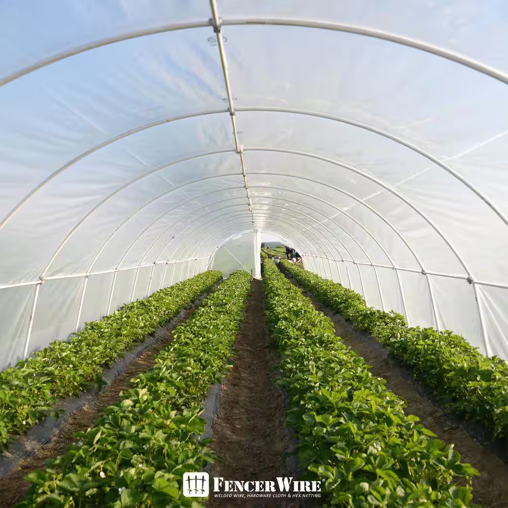 32 Ft. X 50 Ft. 6 Mil Clear Greenhouse Plastic Sheeting, UV Resistant Polyethylene Greenhouse Film, Hoop House Cover