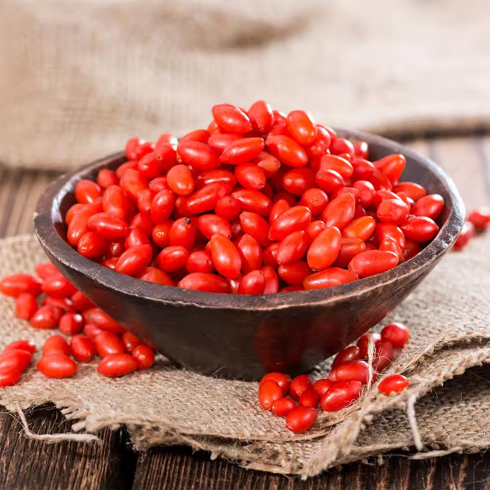Goji Berry Plant 1 Gal., Growers Pot, Fruit Bearing Shrub