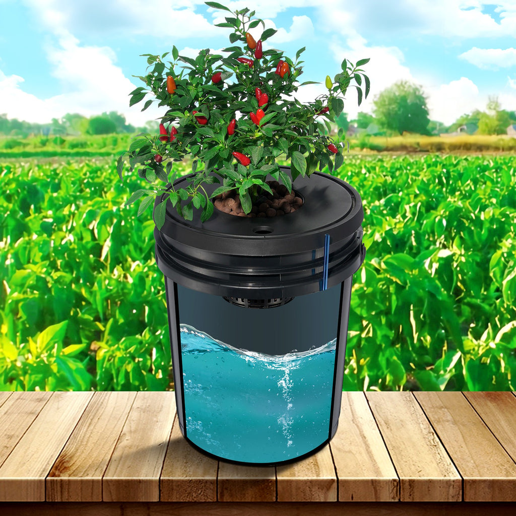 Hydroponics Deep Water Culture DWC Hydroponic System 5 Gallon 4 Buckets