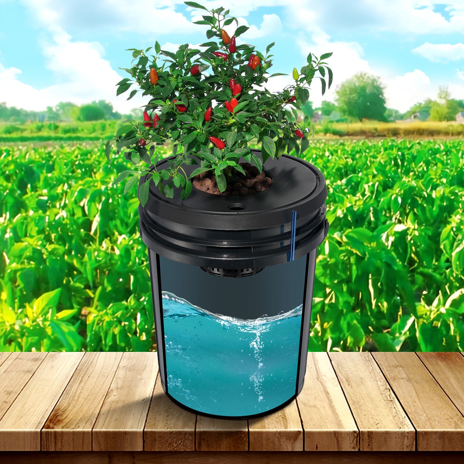 Hydroponics Deep Water Culture DWC Hydroponic System 5 Gallon 4 Buckets