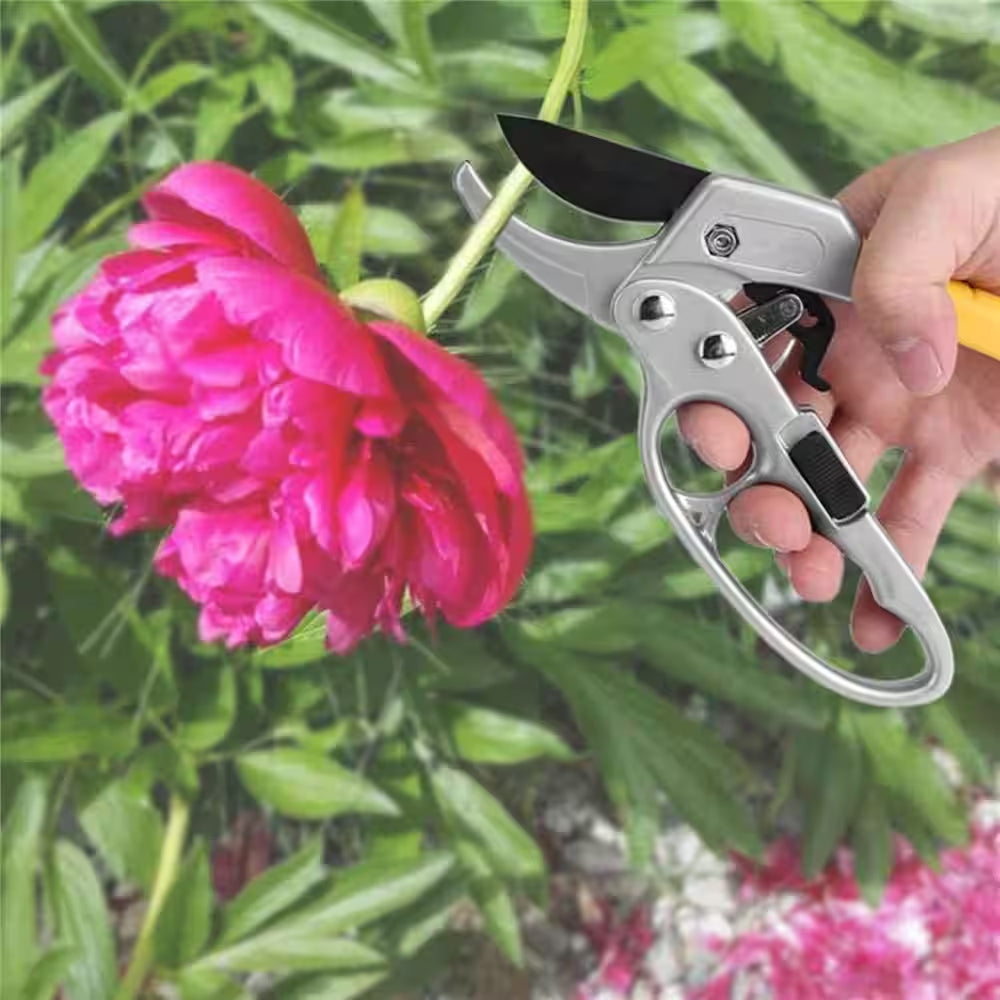 8 In. Hand Pruner, for Trimming Rose, Floral, Tree, Live Plants, Sharp Garden Scissors