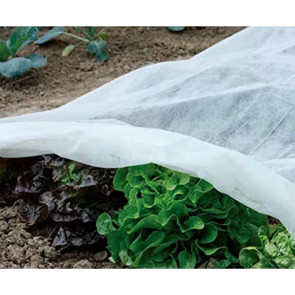 1.5 Oz. 14 Ft. X 50 Ft. Plant Row Cover and Frost Blanket for Garden Seed Germination and Frost Protection Cover