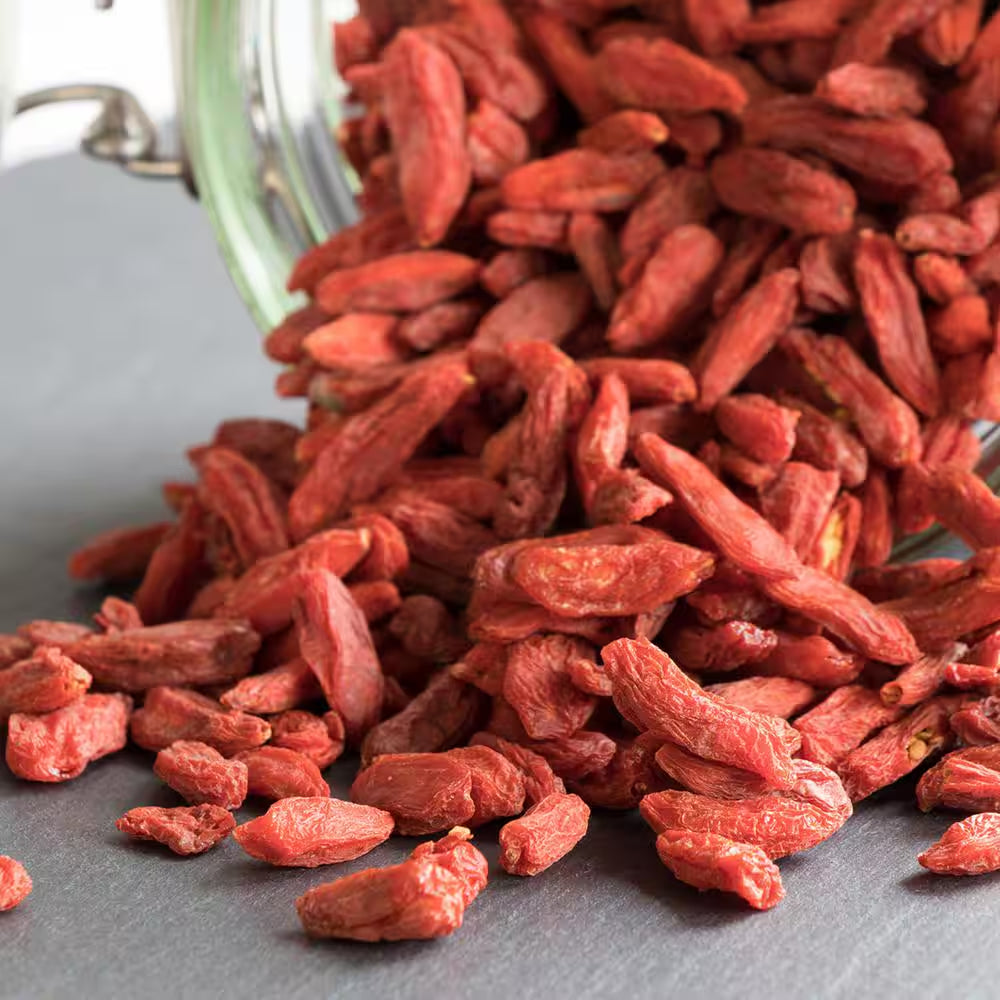 Goji Berry Plant 1 Gal., Growers Pot, Fruit Bearing Shrub