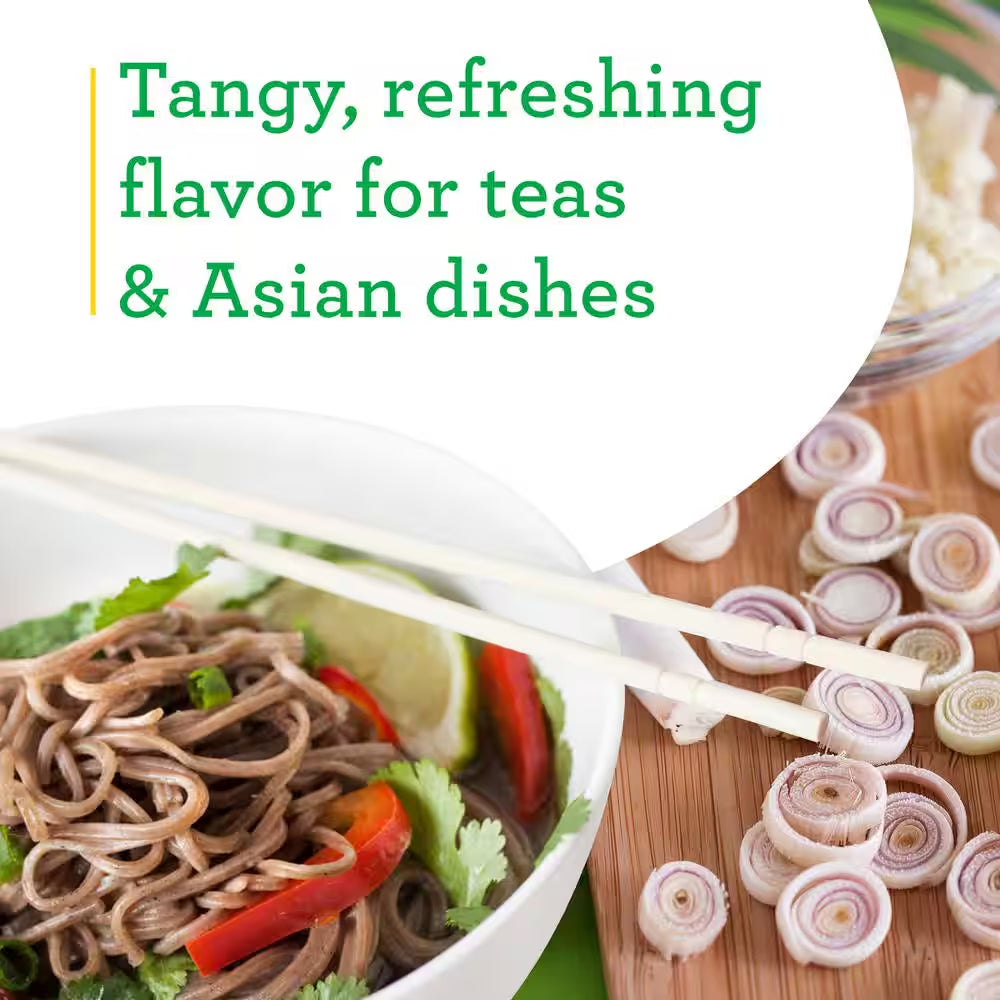 2.32 Qt. Lemongrass, Live Plant