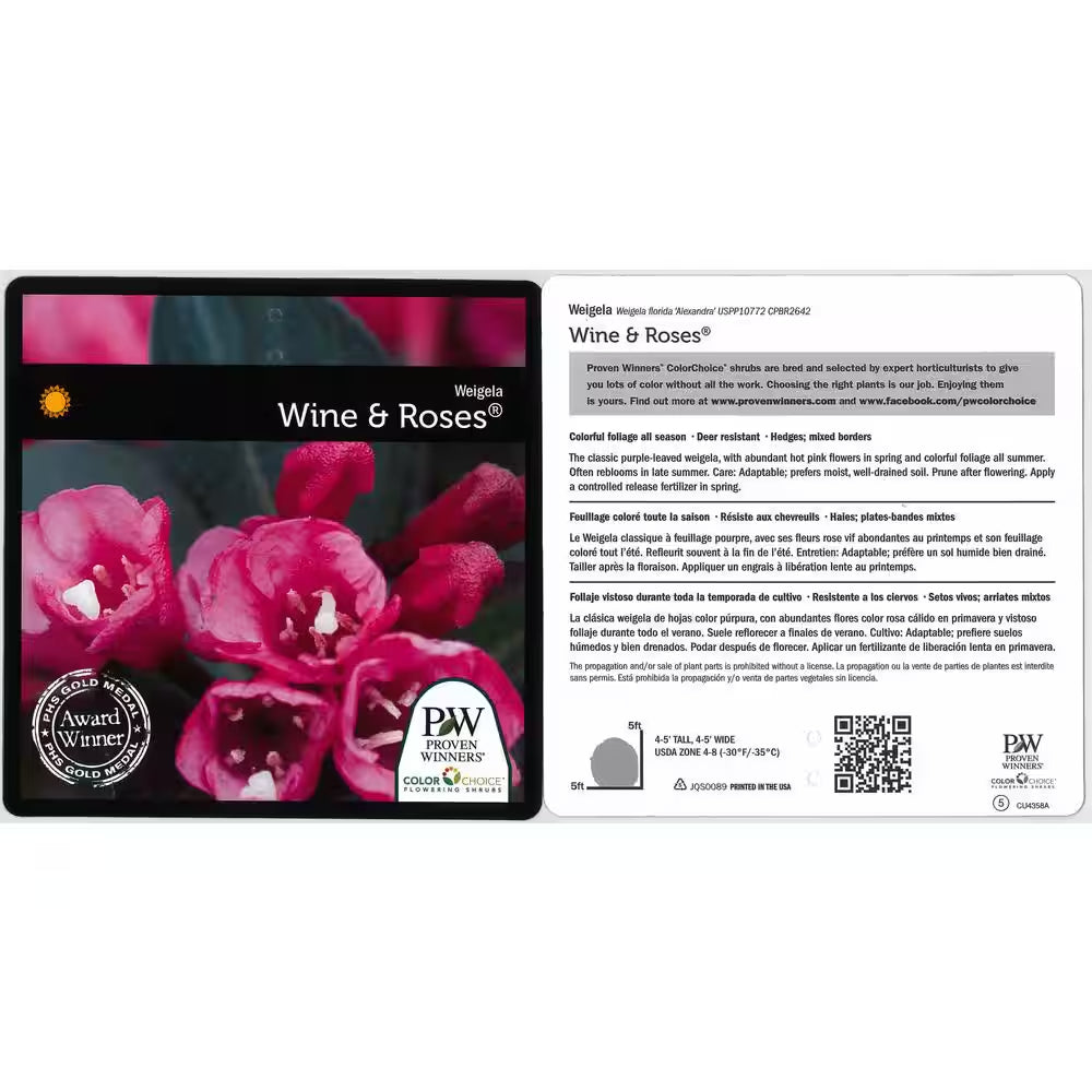 1 Gal. Wine and Roses Reblooming Weigela (Florida) Live Shrub, Pink Flowers and Dark Purple Foliage