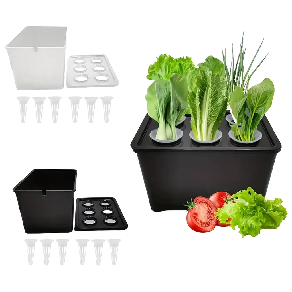 Plant Seed Seedling Pot Hydroponic Plant Specific Flowerpot Practical Grid Vegetable Planting Box Sunshine Hydroponic Apparatus