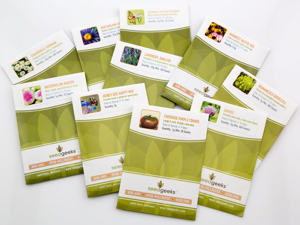 Showy Milkweed Seeds - Monarch Butterfly, Pollinator Garden
