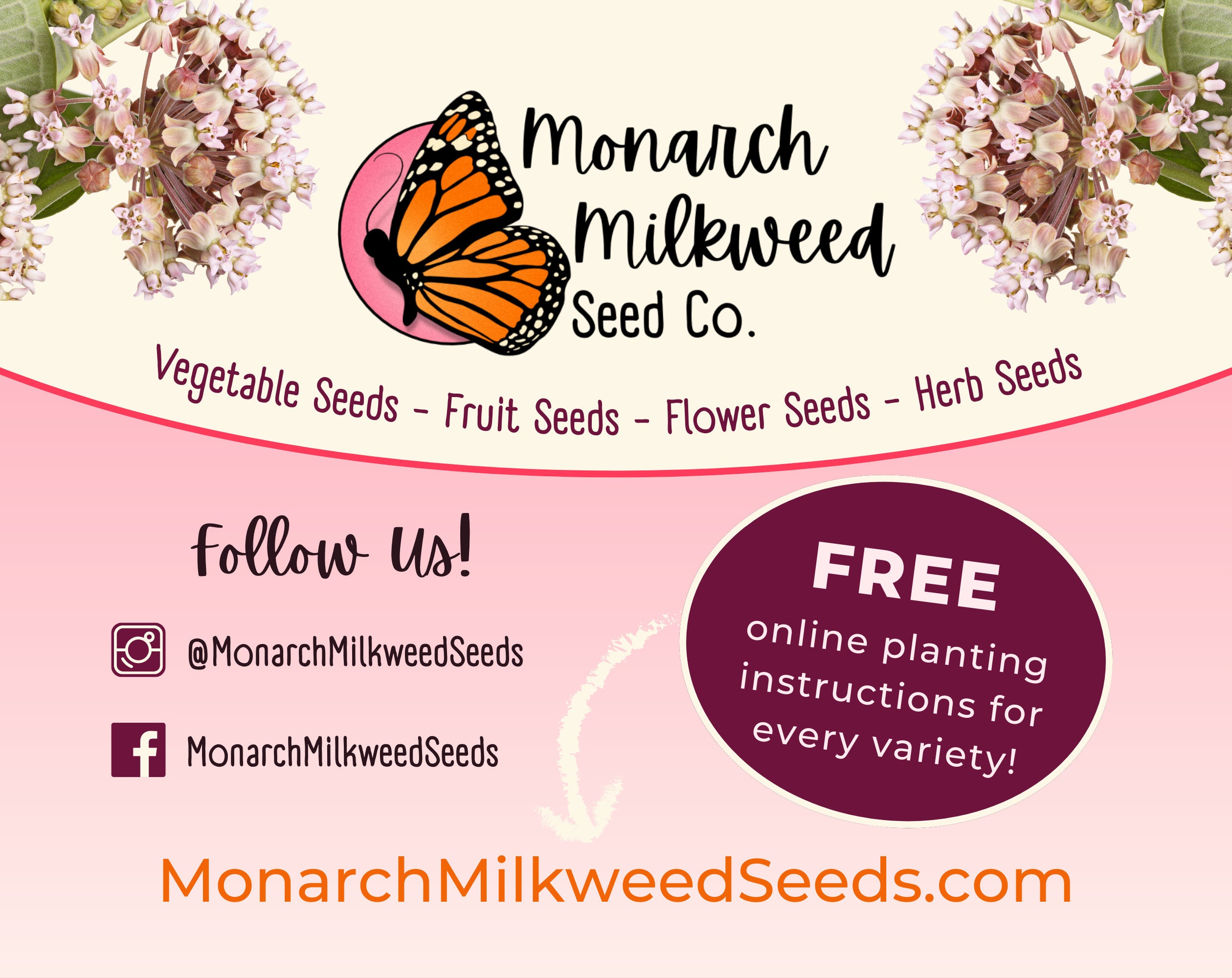 150+ Orange Butterfly Milkweed Seeds | (Asclepias Tuberosa) Native Perennial Wildflower Gardening Seed for Pollinator Monarch Butterflies
