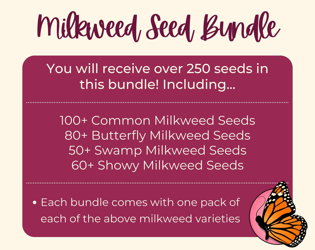 MILKWEED SEED BUNDLE | Four Varieties of Native Milkweed Plant Seeds for the Monarch Butterfly, Flower Gardening, Pollinator Bee, Asclepias