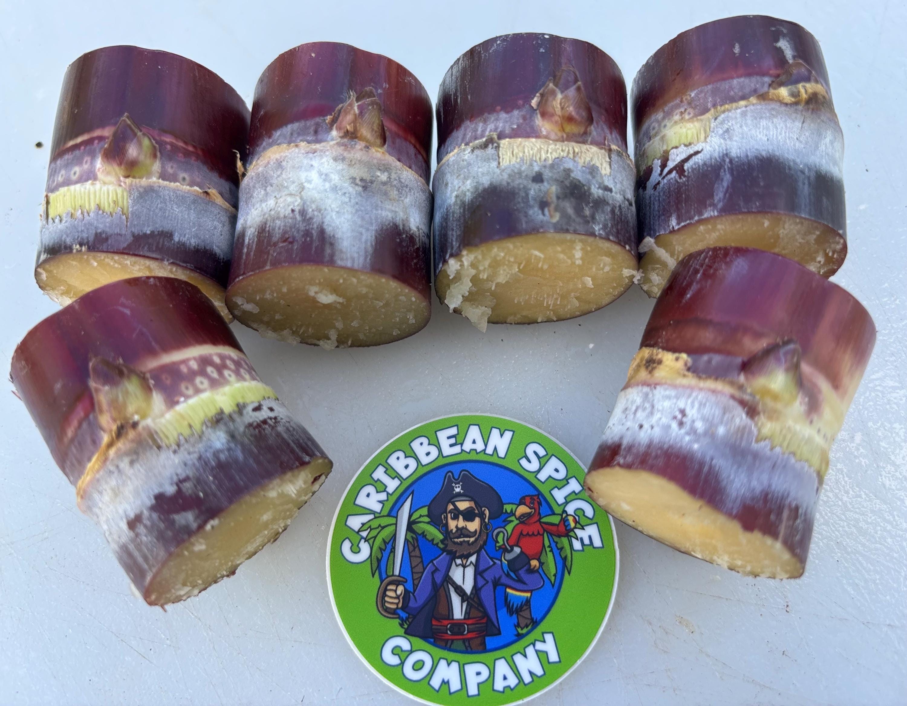 Thai Purple Sugarcane Nodes for Planting, Fresh Cuttings 1-3 Inches