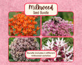 MILKWEED SEED BUNDLE | Four Varieties of Native Milkweed Plant Seeds for the Monarch Butterfly, Flower Gardening, Pollinator Bee, Asclepias